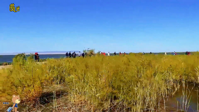 探索乌伦古湖的宁静之美