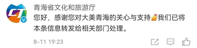 网红主播采摘“雪莲花”还拍视频炫耀？当地回应