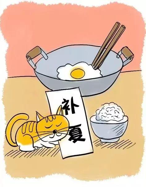 【我们的节日】漫画说端午,原来除了吃粽子还有这么多“真相”!