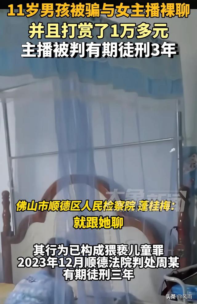 毁三观!41岁女主播与11岁男孩裸聊,诱导其打赏一万多。网友热议
