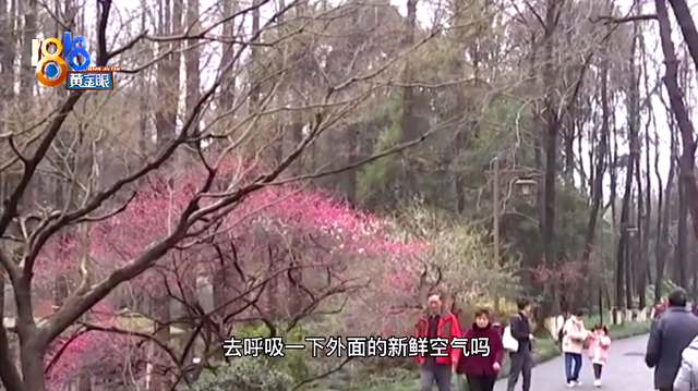 这位女主播跑遍杭州，从新闻主播变身为VLOG博主，她是谁？