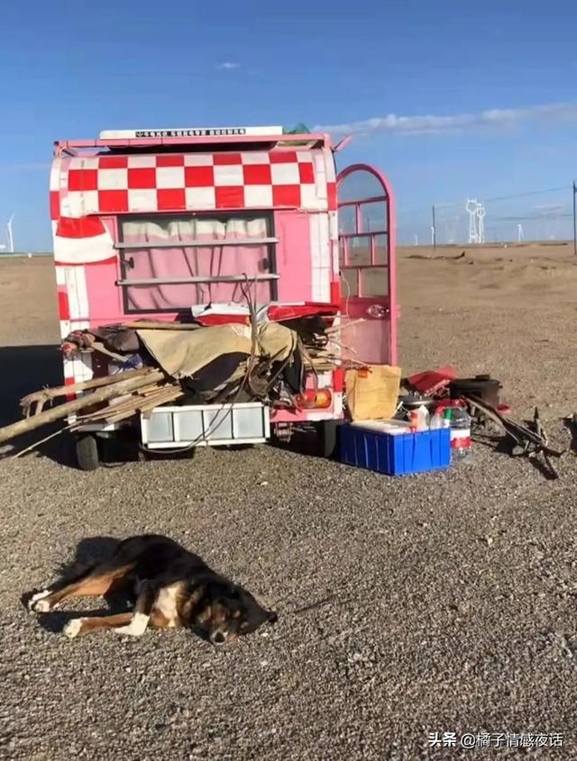 “河南美美”荒野直播遇难，上万人目睹：她的悲剧，本不该发生