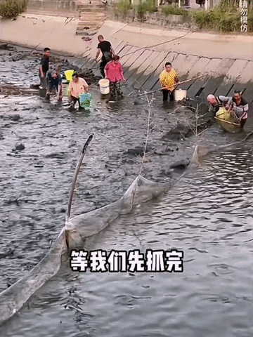 李维刚首次回应抢鱼事件：我请村里人吃鱼，村里人请我吃官司！