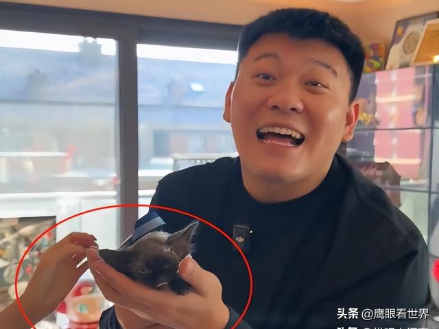 人傻钱多？网红韩景枫记录老婆生产全过程，产后又万元买水奶喂养