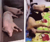 如何评价这个女主持人，主持了一半把丝袜脱了？