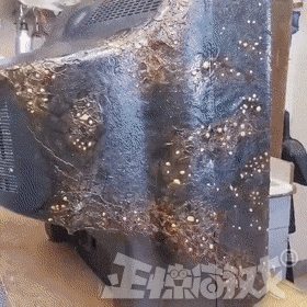 正惊GIF：有善口技者！美女肺活量惊人，一口气将鸡蛋从壳里吹出？