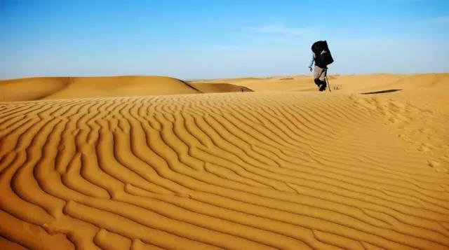 自媒体网红的成长之路