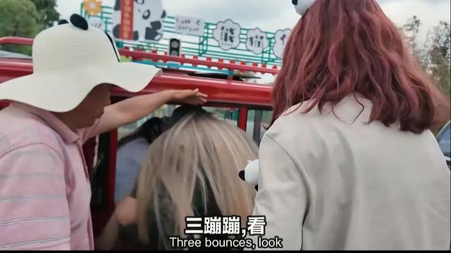 汪汪和玛利亚带兰娜夏娃看大熊猫搭帐篷，激动热舞，羡慕川美蜀乐