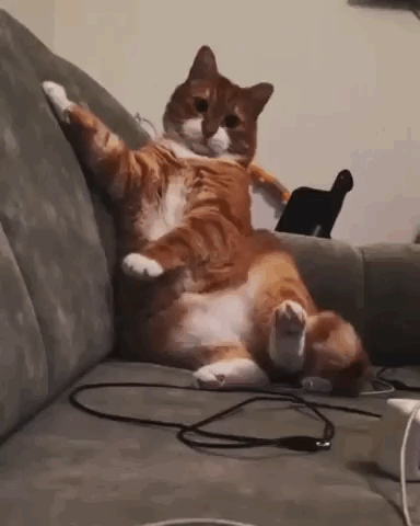 如何评价这个女主持人，主持了一半把丝袜脱了？