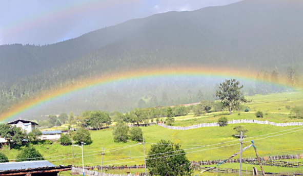 清华才女武亦姝，作文勇夺第一：你是我心中的风景