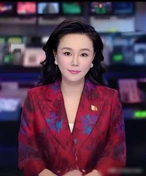 中国美女主播排行榜(央视中文国际频道十大新闻美女主播，谁实力最强？)