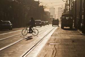 我和女主播的荒岛生活(小说：户外主播荒岛遇白狼，主播吓了一身汗，竟发现它要喝茶)
