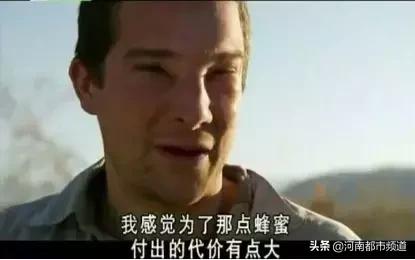 知名主持人贝尔被小蜜蜂蛰了一下！然后事情发展开始跑偏了哈哈哈