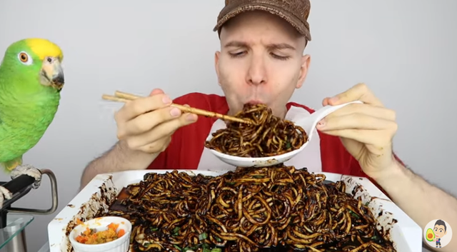 拥有百万粉丝的 YouTube 主播，花了两年戏耍全世界