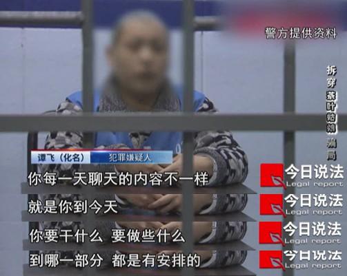 “茶叶姑娘”被捕，称自己诈骗反而亏了钱……