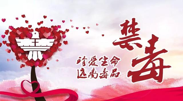 【我们的节日】漫画说端午,原来除了吃粽子还有这么多“真相”!