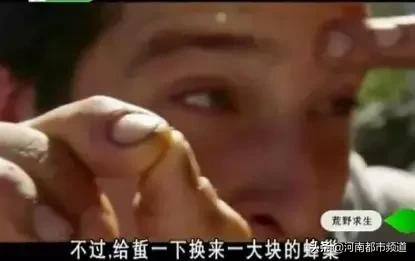 知名主持人贝尔被小蜜蜂蛰了一下！然后事情发展开始跑偏了哈哈哈