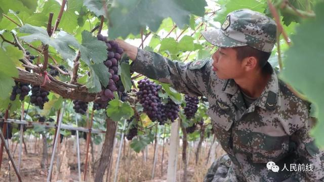 「关注」大开眼界！野外驻训的兵哥哥原来这么会玩
