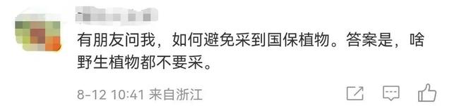 网红主播采摘“雪莲花”还拍视频炫耀？当地回应