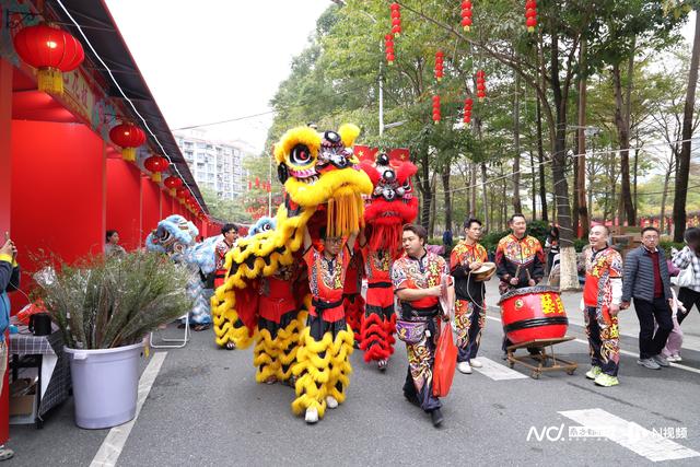 花市点花灯！直击广州南沙迎春花市开市，夜游也炫酷