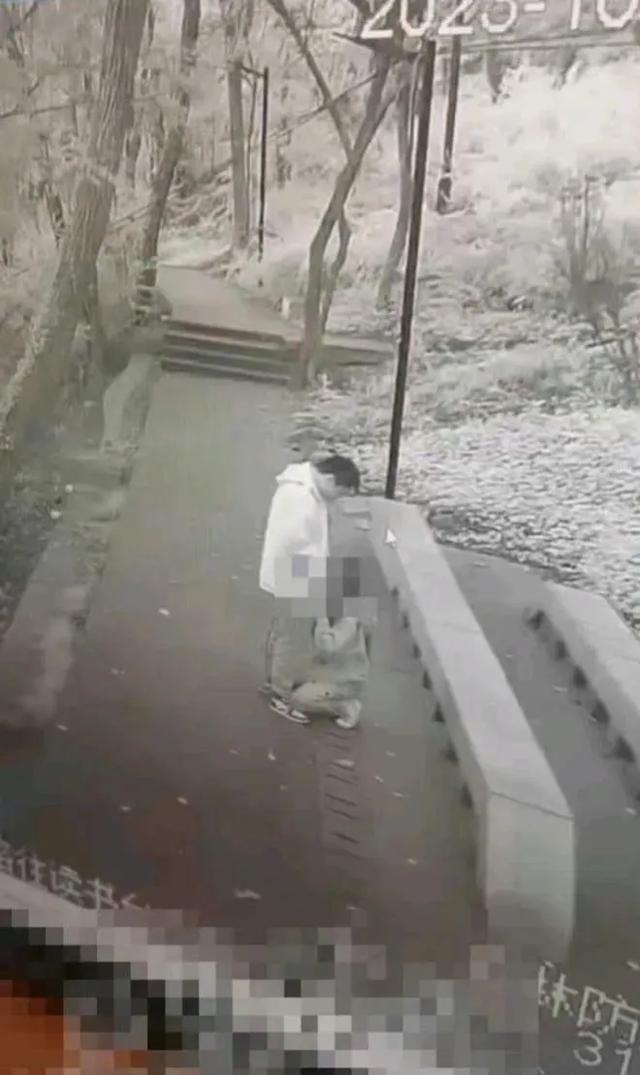 辣眼睛！森林防火指挥中心大屏播放监控拍下的小情侣野战画面