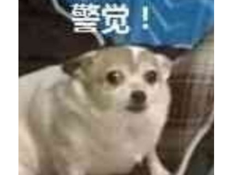 腾讯把穿越火线拍成了沙雕剧？女主开枪爆头队友，像极了当年的你