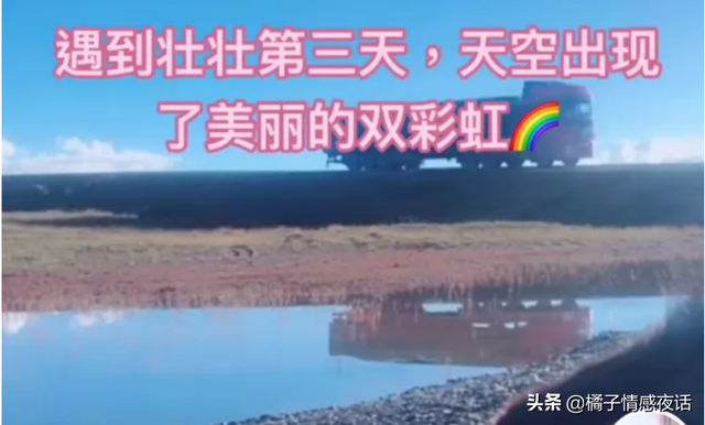 “河南美美”荒野直播遇难，上万人目睹：她的悲剧，本不该发生