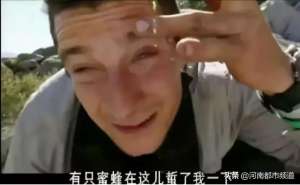 一个女主播叫贝爷(知名主持人贝尔被小蜜蜂蛰了一下然后事情发展开始跑偏了哈哈哈)