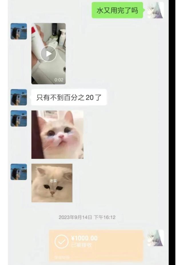女同性恋？21岁游戏主播胖猫2年内转女方51万，被分手后绝望跳江