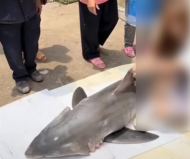 拥有百万粉丝的 YouTube 主播，花了两年戏耍全世界