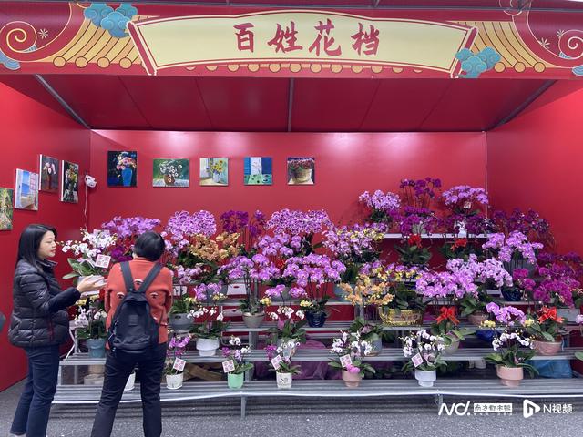 花市点花灯！直击广州南沙迎春花市开市，夜游也炫酷