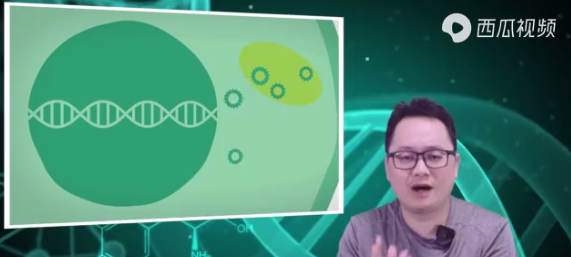 我们的祖先都是一个人?DNA有着这样的真相,西瓜视频带你揭秘