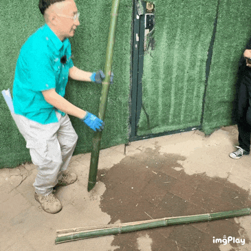 要备案，有专区！在北京动物园直播“顶流”熊猫有规矩，违规三次就禁播