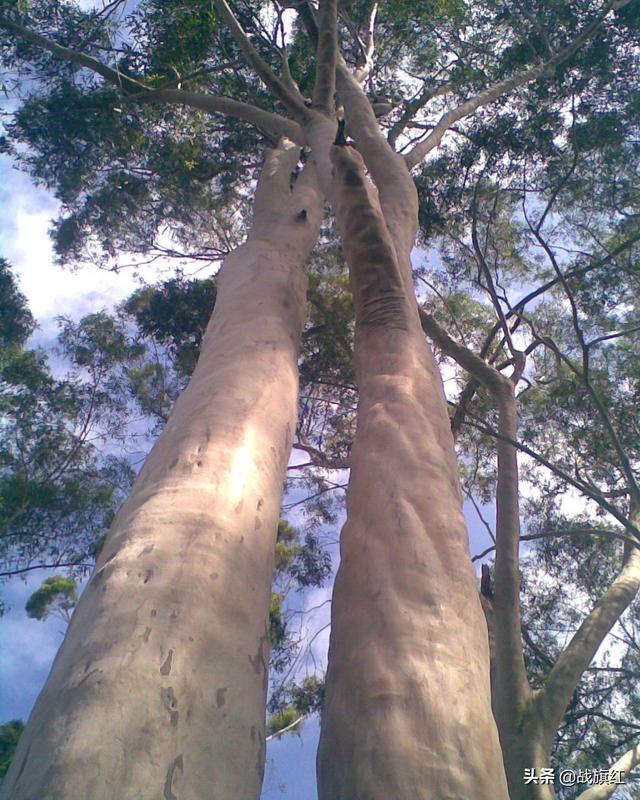 国防施工条件苦，士兵茶余饭后爱跑服务社，只为看一眼美丽女兵