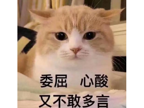 LOL巴西美女选手开直播,一夜涨了30万粉,Doinb还刷了上万礼物