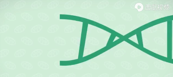 我们的祖先都是一个人?DNA有着这样的真相,西瓜视频带你揭秘
