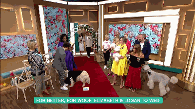 200多次相亲无果 49岁女模嫁6岁爱犬 电视台直播：婚礼画风如何？