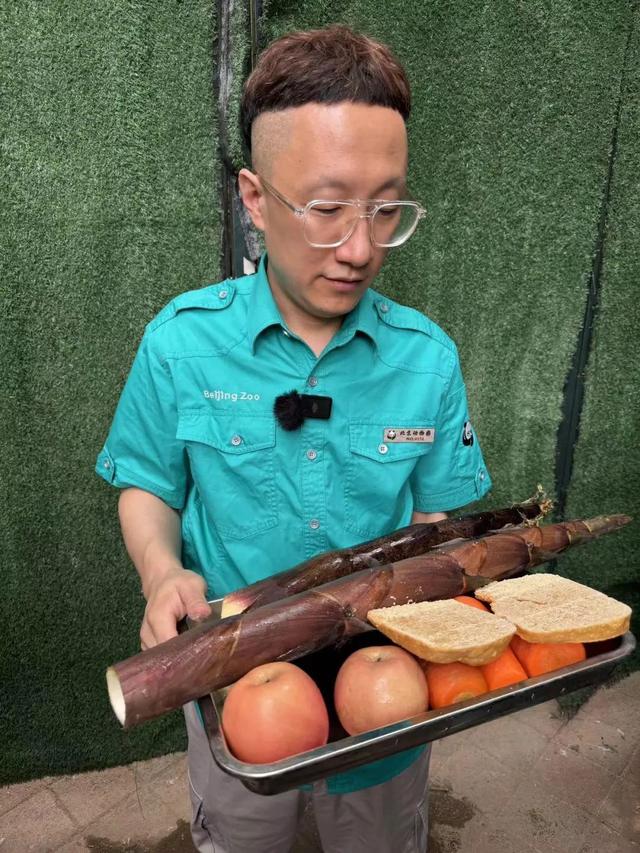 要备案，有专区！在北京动物园直播“顶流”熊猫有规矩，违规三次就禁播