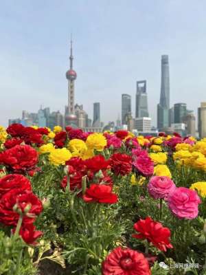 女主播蝴蝶thunder(自述：愚人节那天，我接到流调电话说“核酸异常”，但之后的传言，我不信……)