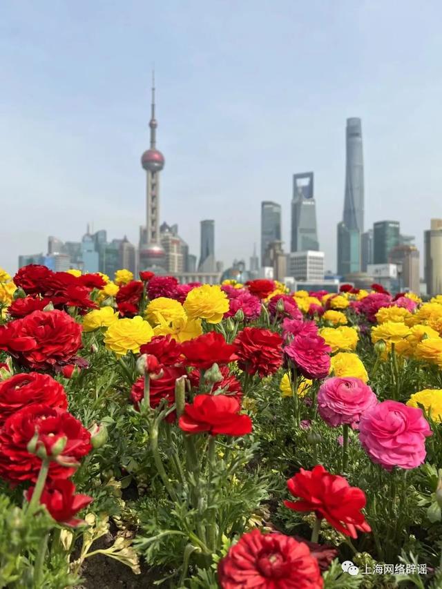 自述：愚人节那天，我接到流调电话说“核酸异常”，但之后的传言，我不信……