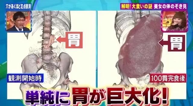 拥有百万粉丝的 YouTube 主播，花了两年戏耍全世界