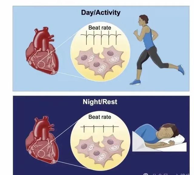 36岁女主播，直播一夜后猝死！常熬夜，小心猝死找上门？