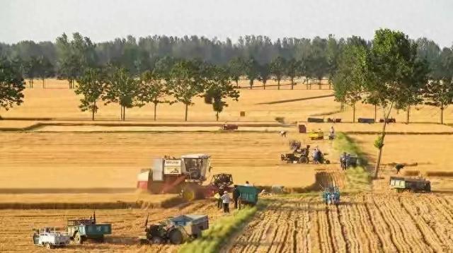 【禁不住诱惑！无良直播女神骚气十足，浓妆紧身裙引发网络轰动】