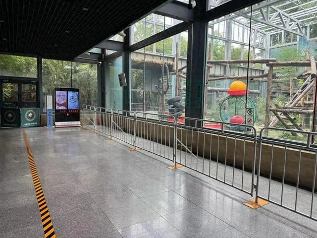要备案，有专区！在北京动物园直播“顶流”熊猫有规矩，违规三次就禁播
