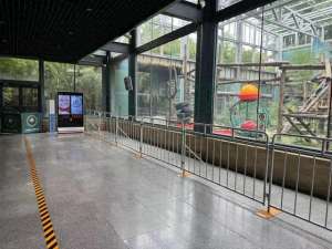 女主播古古(要备案，有专区在北京动物园直播“顶流”熊猫有规矩，违规三次就禁播)