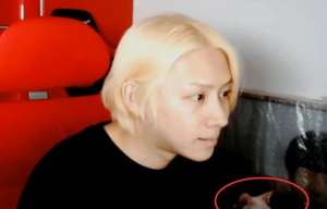 金希澈女主播(金希澈收养雪莉爱猫了吗 金希澈直播中的猫怎么回事)