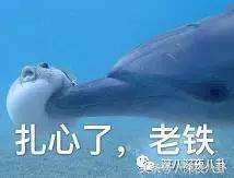 惊雷喊麦女主播文儿(喊麦大主播们全网拥有过千万粉丝，年收入过千万，人气超明星)