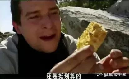 知名主持人贝尔被小蜜蜂蛰了一下！然后事情发展开始跑偏了哈哈哈