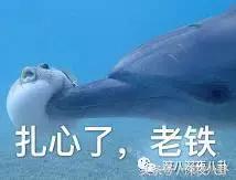 喊麦大主播们全网拥有过千万粉丝，年收入过千万，人气超明星