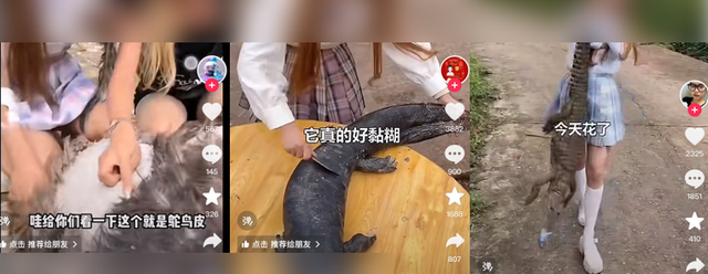 拥有百万粉丝的 YouTube 主播，花了两年戏耍全世界